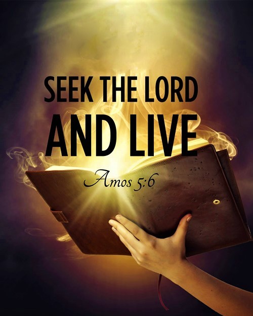 elviraamberg's tweet image. SEEK THE LORD AND LIVE
Seek the Lord, and ye shall live; lest he break out like fire in the house of Joseph,
and devour it, and there be none to quench it in Bethel. —Amos 5:6
Seek ye the LORD while he may be found, call ye upon him while he is near:
Let the wicked forsake his…