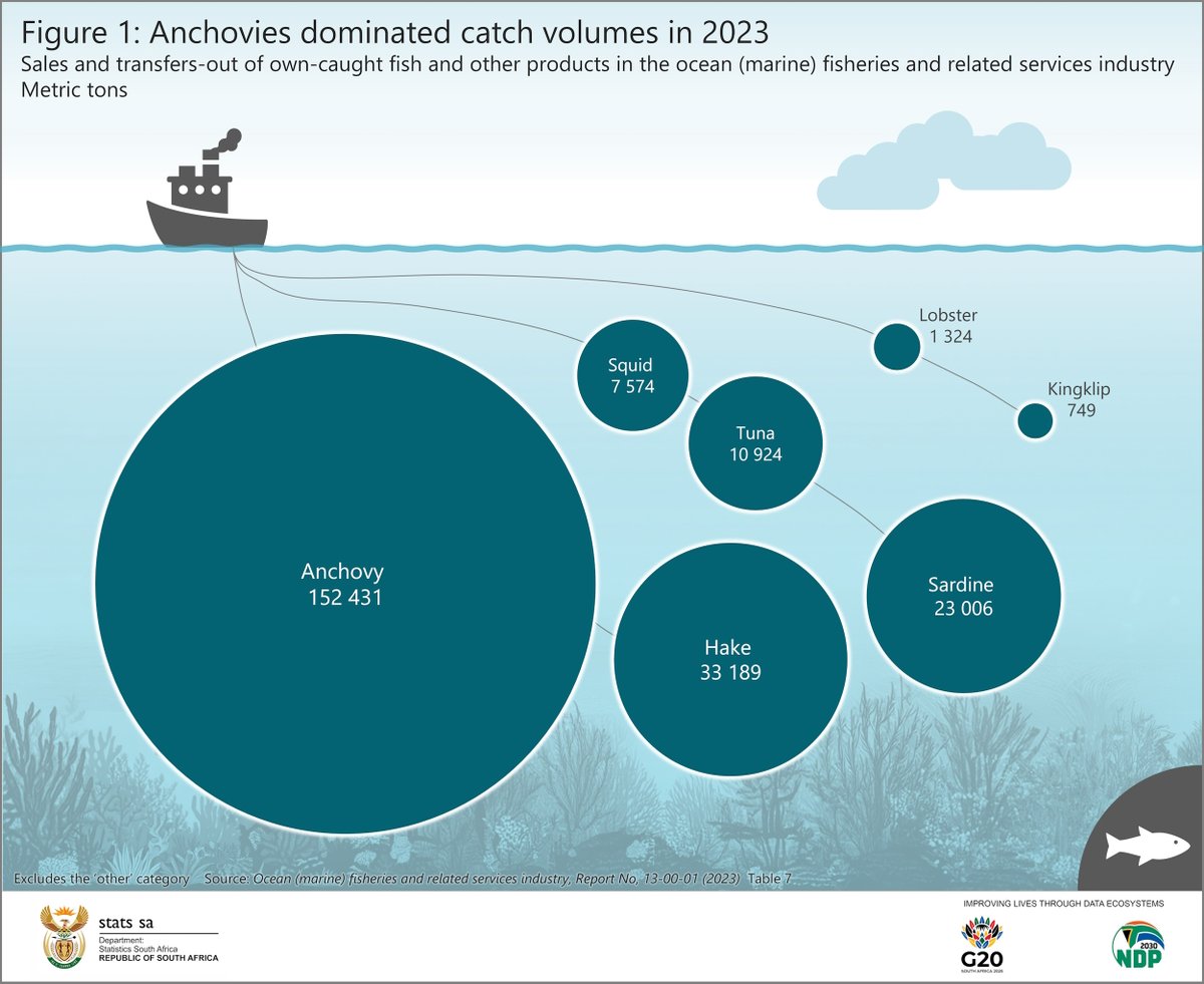 GovernmentZA's tweet image. #GovZAUpdates | Ocean Fishing Trends 🎣
Anchovies led South Africa’s ocean catch in 2023, followed by hake and sardines, according to the latest data from @StatsSA.
🔗 Read more: zurl.co/kQU7o