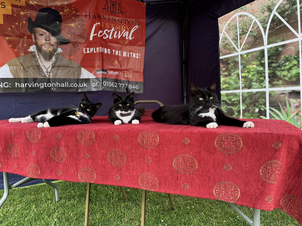 🎉 The Harvington History Festival kicks off today! 
The boys — Harvey, Humphrey, and Jasper are ready at the book signing table, paws poised to paw print your copies of their latest smash-hit album “Rat Catchers” 🚧 Please allow an extra 20 mins travel time due to roadworks.