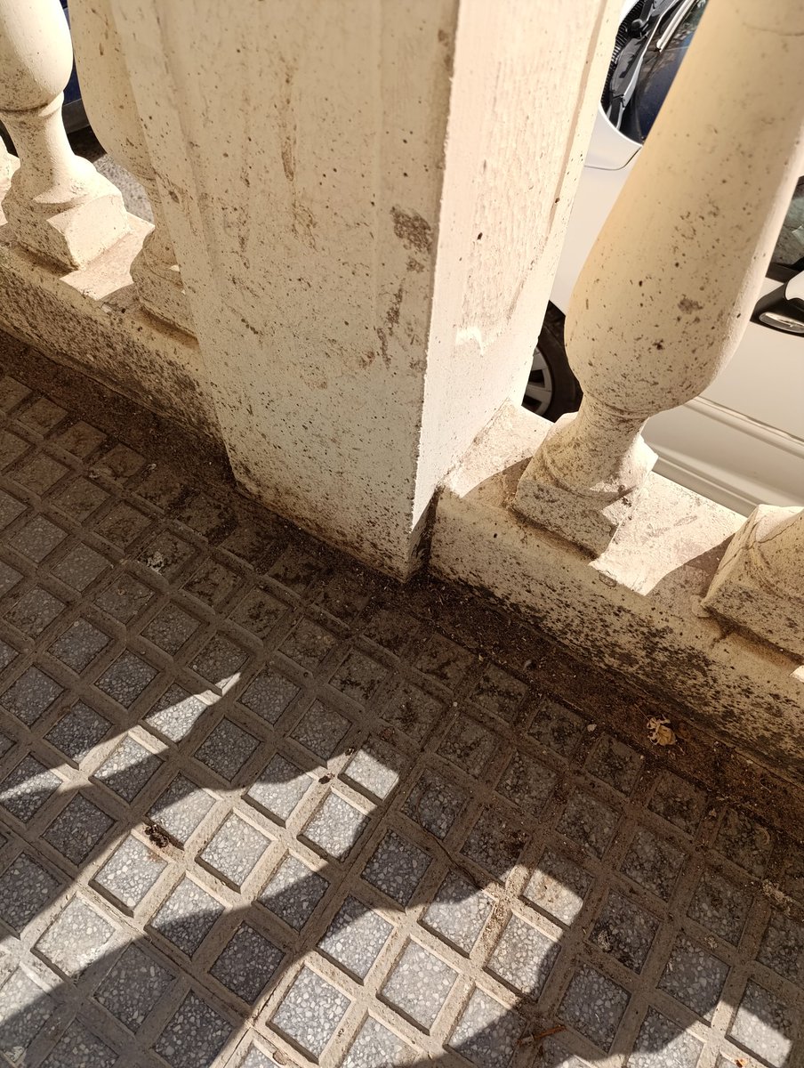 A ver si podéis mandar a alguien a Calle Tres Cruces, barrio de San Andrés <a href="/LimasamOficial/">Limpieza de Málaga</a> a baldear y desinfectar la calle, que huele a podrido, por favor.