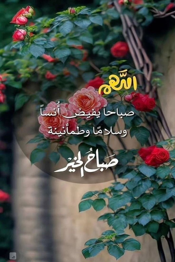 juhaalhakim (@juhaalhakim1) on Twitter photo 