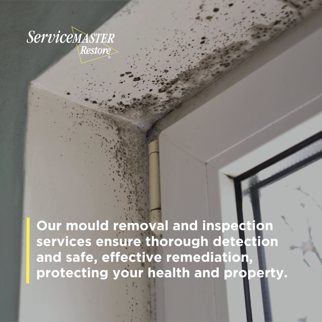 SMRestoreUK's tweet image. Our mould removal services ensure safe, effective remediation, protecting your health and property. 

📞 0800 021 3970

#MouldRemoval #HealthyHome #ServiceMasterRestore #MouldRemidation