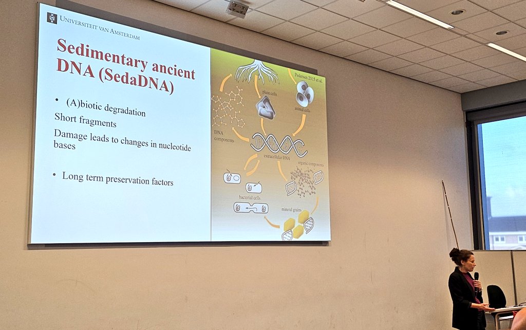 DrJenniferBates's tweet image. Morning from #IWGP2025 in #Groningen! I'm in the methods session and we're thinking about proteins, sedaDNA, germination identification, millet dispersal, ceramic impressions and c14 in ceramic tempers. #archaeobotany #archaeology #archaeologicalscience