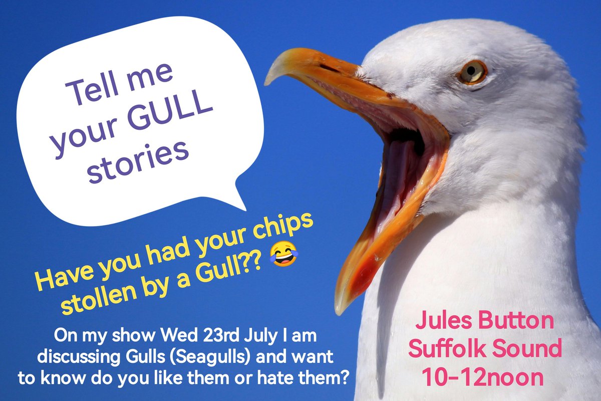 Love this, as am talking Seagulls this morning