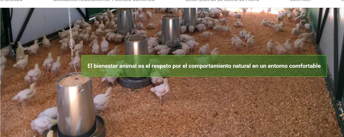 🏆<a href="/redPAC_/">Red PAC</a> seleccionada un proyecto de #Extremadura entre los 8 finalistas a los Premios Europeos Aria 2025 🇪🇺.

🌼Poultree, apuesta por un modelo ganadero regenerativo.

👉 goo.su/XJdsY