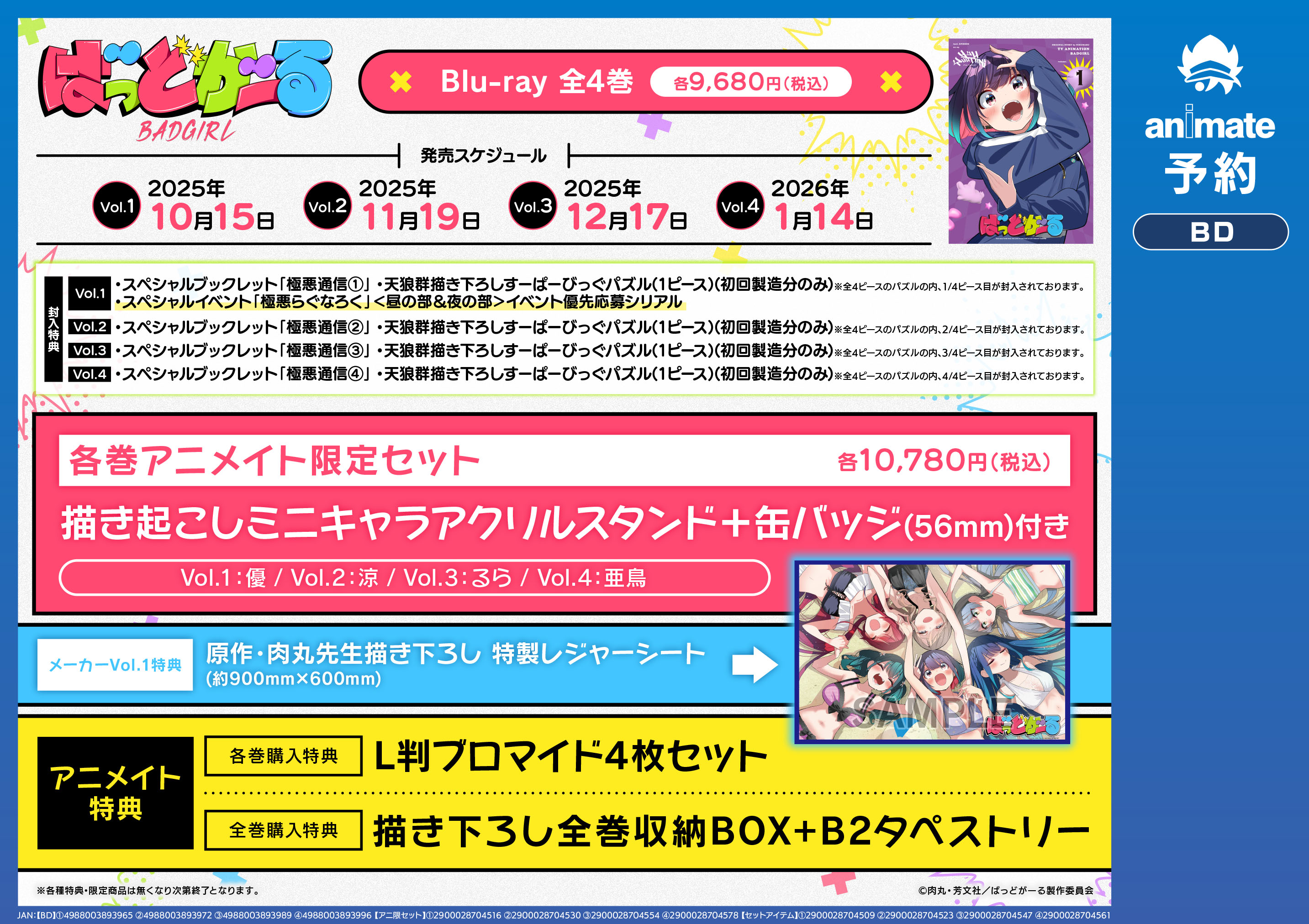 895.咲アニメイト限定イラストカード　19枚セット＆限定ファイルフォルダー付き