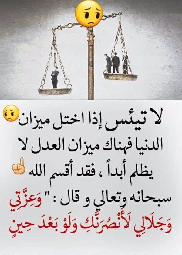 Amira Youssef (@amirayouss13682) on Twitter photo 