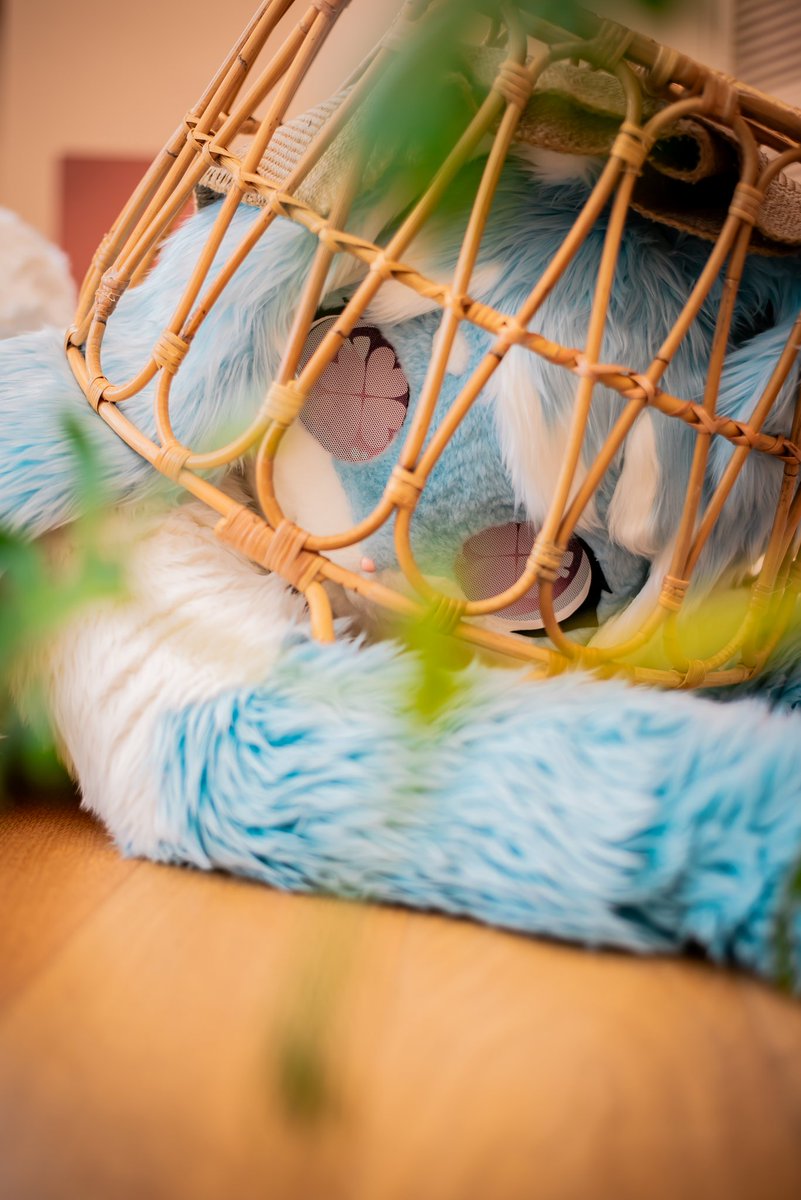 저기...
보고만 있지말고 나좀 꺼내줄래?🥺

#FursuitEveryday