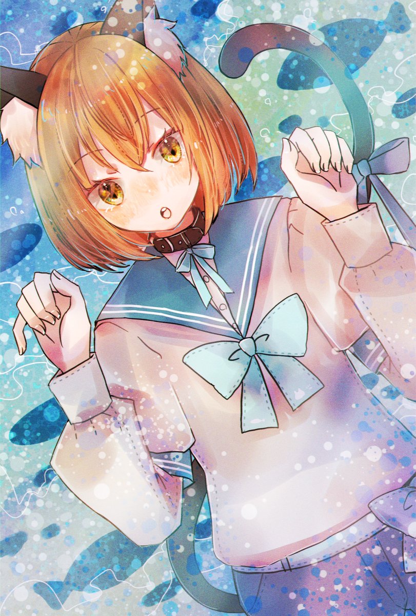 msk72m's tweet image. 猫ちゃん