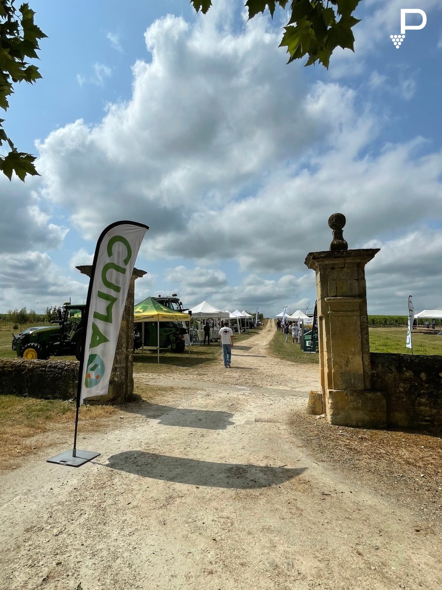 Process2Wine tweet media