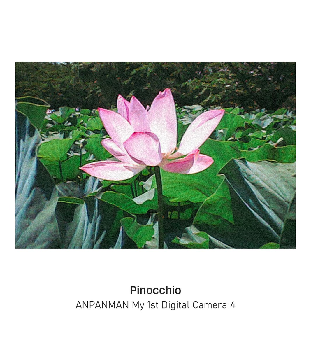 アンデジ4のカットを初公開します！ ←Normal shooting / PRO shooting