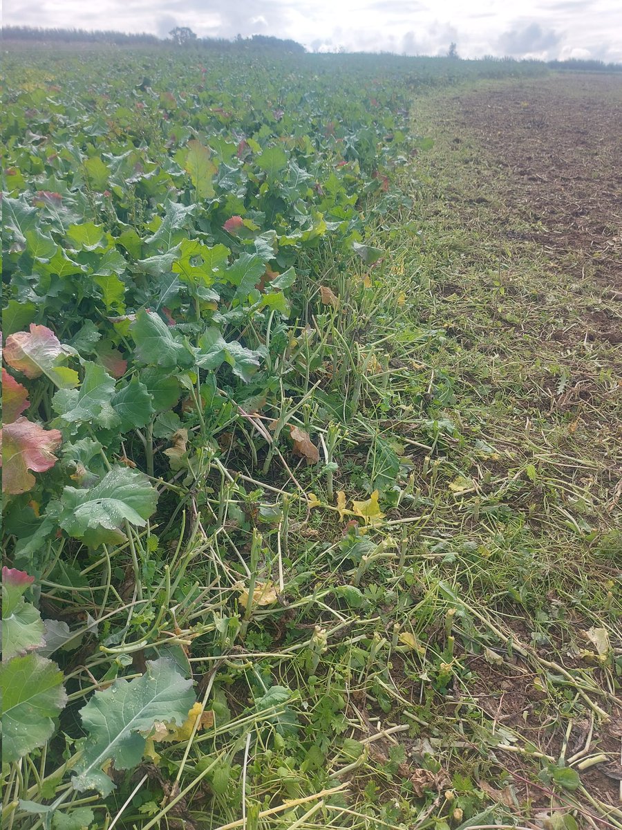#FarmSafetyWeek isn't just about working with machines, but lone working as well.  Please make sure that someone knows where you are too and what time roughly you will be back. A simple message makes sure you're working safely this and every week of the year!