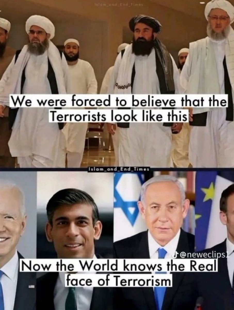 Do you understand?