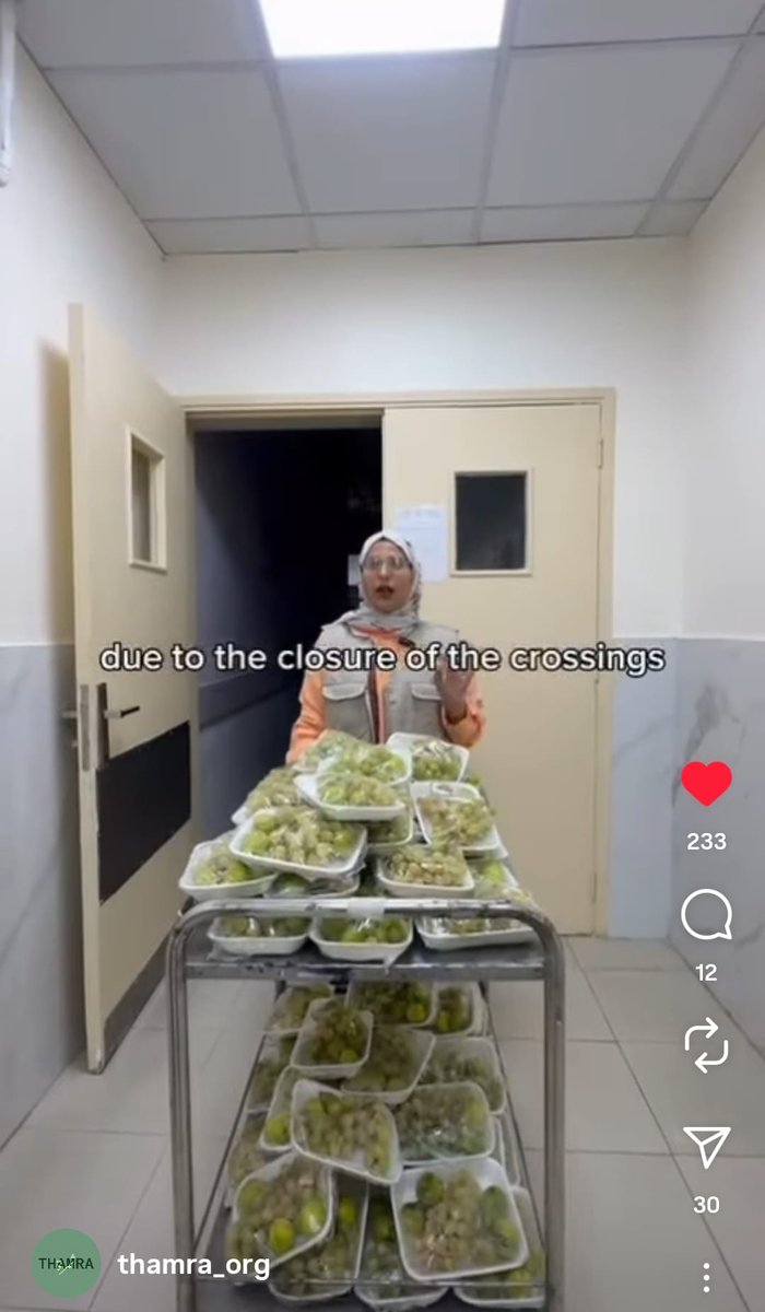oykua_'s tweet image. The Thamra Project distributed fresh fruits to the sick kids of Gaza. 🍇🍏❤️❤️❤️Support their efforts. 🙏🙏🙏
gofund.me/fde2b9a4