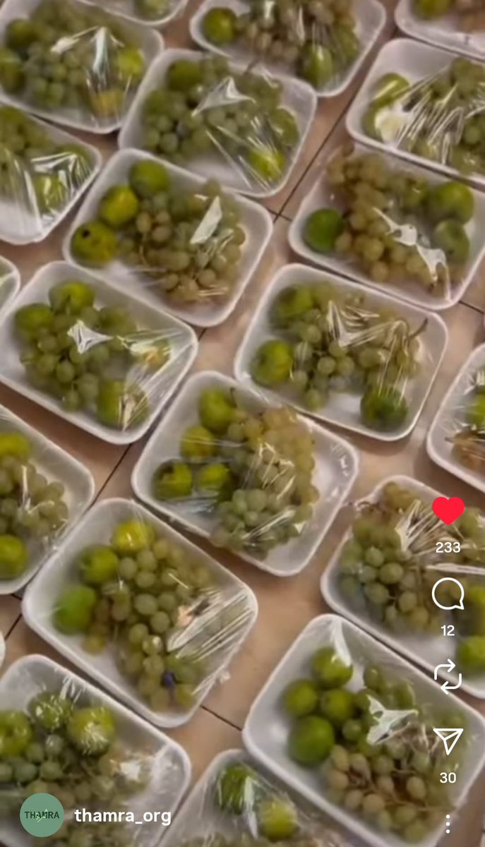 oykua_'s tweet image. The Thamra Project distributed fresh fruits to the sick kids of Gaza. 🍇🍏❤️❤️❤️Support their efforts. 🙏🙏🙏
gofund.me/fde2b9a4