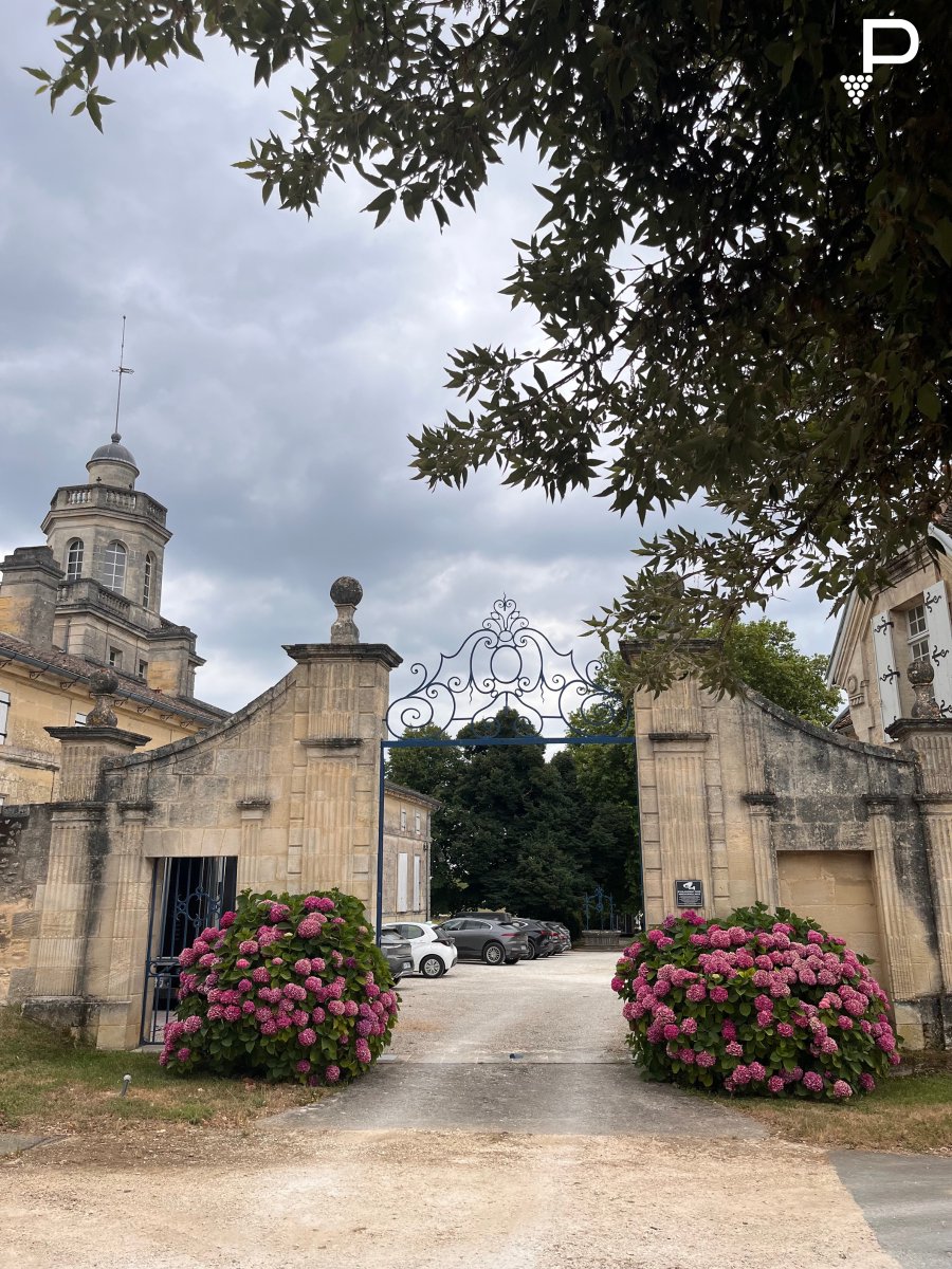 Retour sur la Journée Robotique et Innovation Viticole organisée le 03/07 au par la Fédération des CUMA de Nouvelle Aquitaine et celle de  la Gironde - Lot &amp; Garonne et la <a href="/chambagri33/">Chambre Agriculture 33</a> . Une journée riche en échanges avec les vitis sur leurs attentes terrains !
<a href="/SamsysFr/">SAMSYS</a>