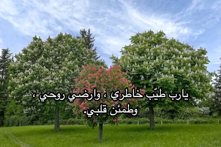الآن 🌷. (@hannahblack41) on Twitter photo 