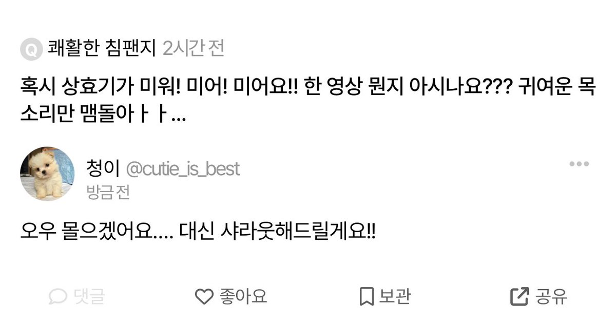 청이 tweet media