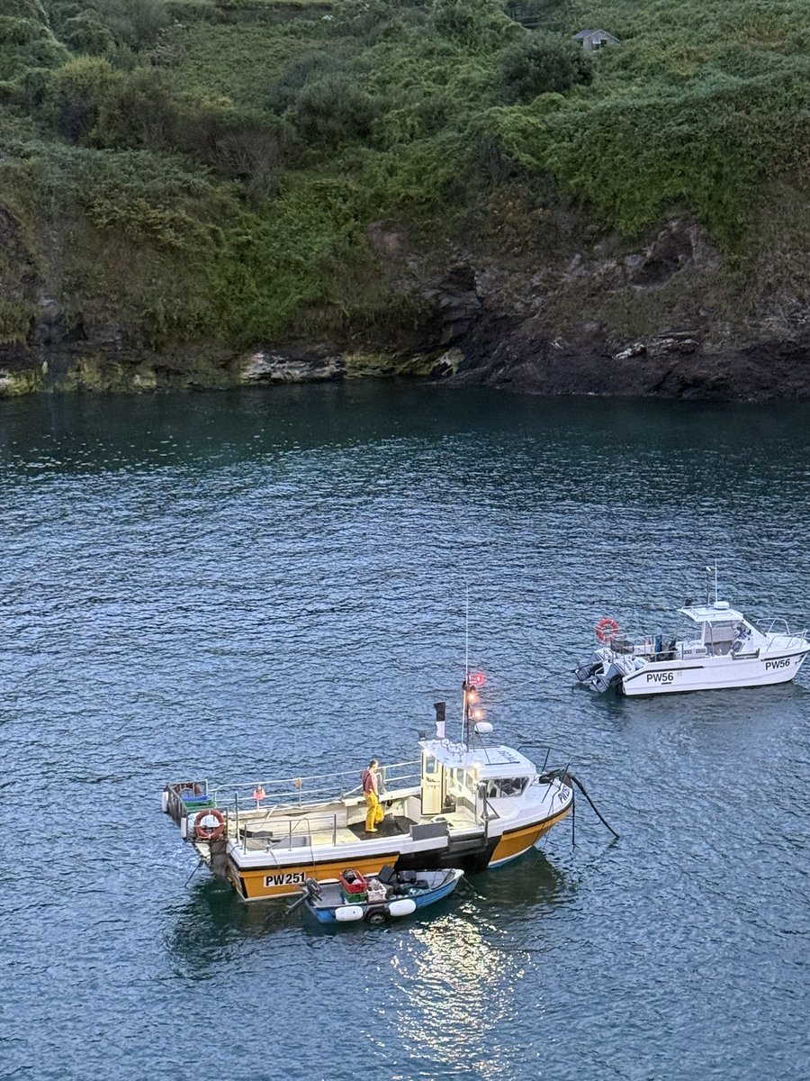 RevRichardColes's tweet image. I rise at 0430 to catch some lobsters* with Callum.
*0846 a lobster