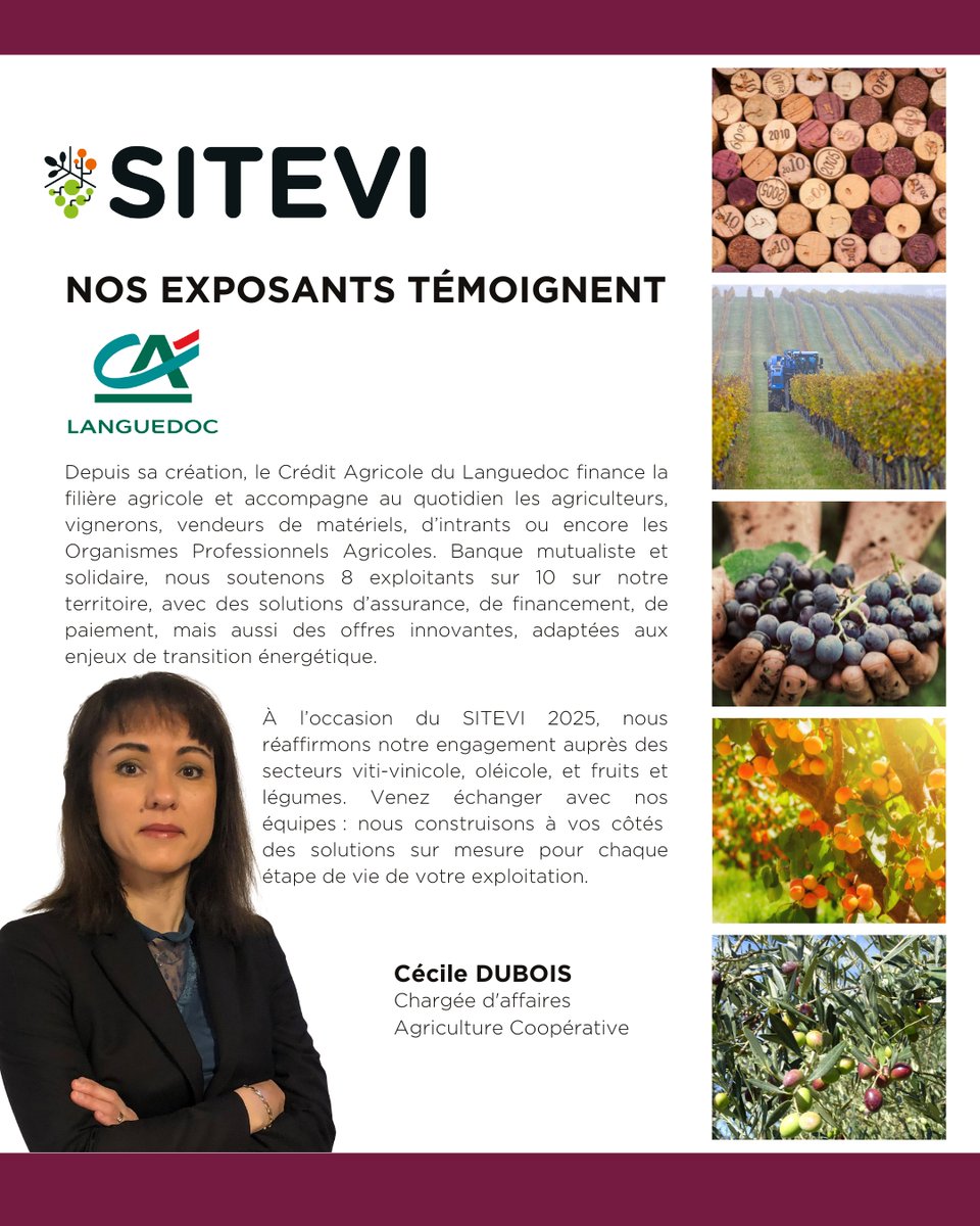 SITEVI (@sitevi) on Twitter photo 💼 Le <a href="/CALanguedoc/">CALanguedoc</a> sera au #SITEVI2025 !
Assurance, financement, solutions sur-mesure 🌿
Rencontrez leurs équipes du 25 au 27 nov. à Montpellier et échangez sur l’avenir de votre exploitation 🚜
👉 bit.ly/44BeMDF 💼 Le <a href="/CALanguedoc/">CALanguedoc</a> sera au #SITEVI2025 !
Assurance, financement, solutions sur-mesure 🌿
Rencontrez leurs équipes du 25 au 27 nov. à Montpellier et échangez sur l’avenir de votre exploitation 🚜
👉 bit.ly/44BeMDF