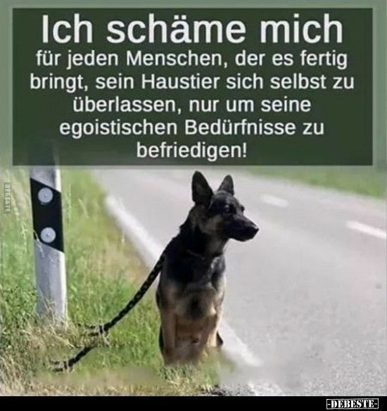 Jannekanndas's tweet photo. Alle Jahre wieder zur Ferienzeit.😡 https://t.co/Ki2SsHurbr