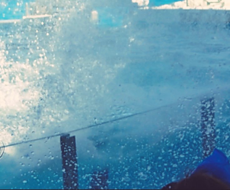aoi_write's tweet photo. 暑い日が続きますね。
私はシャチに水かけてもらってきました😂水の量がとんでもなく、リアルで初めて「（｀ェ´）ﾋﾟｬｰ！」って声出た。

「前列〜最後列まで、確実に水のかからない場所というのは存在しません！」って場内放送最高だった。
#鴨川シーワールド #サマースプラッシュ #スマホ写真部 https://t.co/q9BPdYGKTn