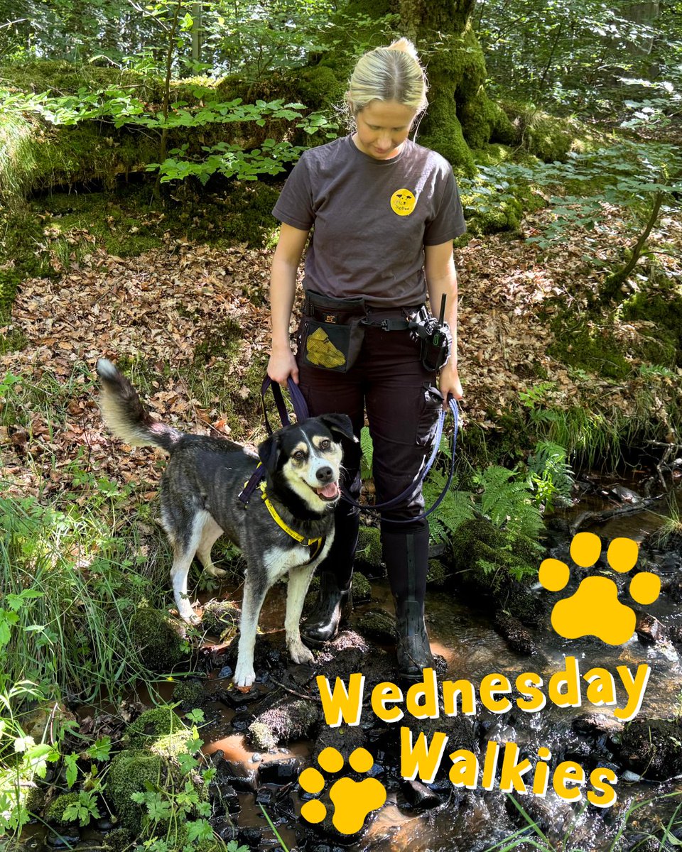 DogsTrust West Calder (Edinburgh) (@dt_westcalder) on Twitter photo Freya has just discovered the river along one of her walks... turns out she's another one of our water babies!💦
Apply to adopt Freya today👉 bitly.cx/rgjQu
<a href="/DogsTrust/">Dogs Trust 💛🐶</a>
#AdoptDontShop
#ADogIsForLife Freya has just discovered the river along one of her walks... turns out she's another one of our water babies!💦
Apply to adopt Freya today👉 bitly.cx/rgjQu
<a href="/DogsTrust/">Dogs Trust 💛🐶</a>
#AdoptDontShop
#ADogIsForLife