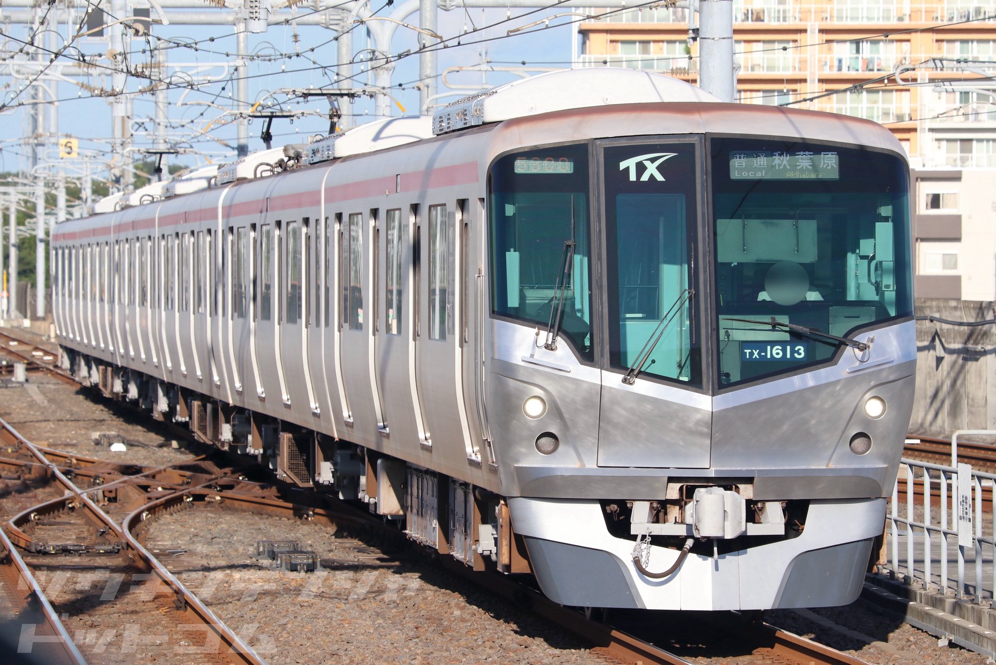 つくばエクスプレス 1_000000000889.jpg?1742348456