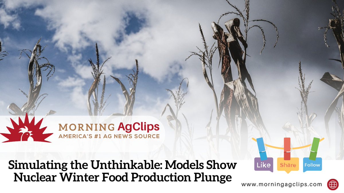 A nuclear winter could last for more than a decade, potentially leading to widespread famine for those who survive the devastation of the bomb blasts. Start preparing “agricultural resilience kits."
.
Read more: hubs.la/Q03yh9Yl0
.
#Nuclearwar #famine #farming #corn #crops