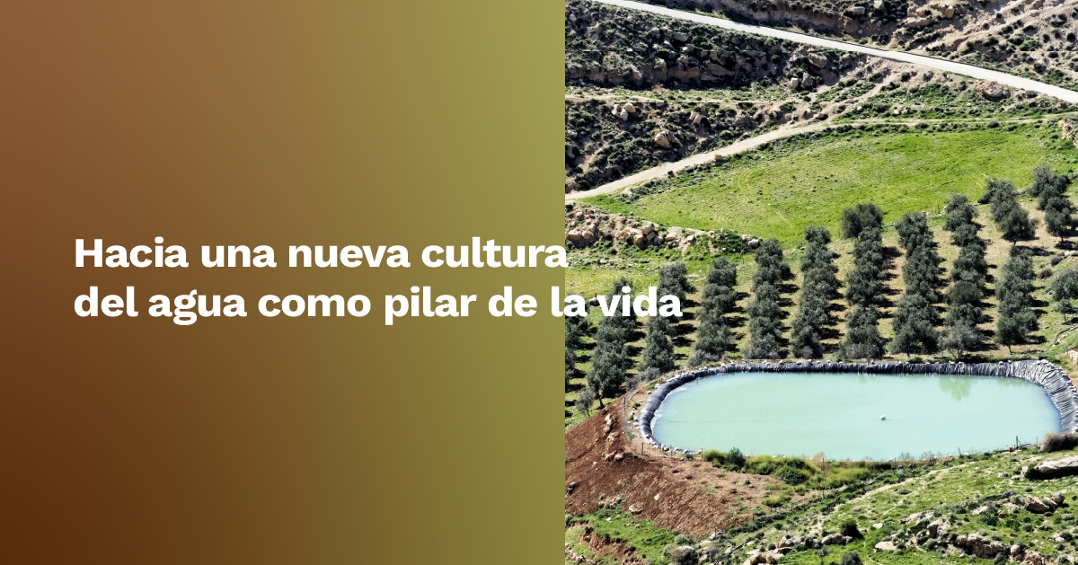 FENACORE (@fenacoreoficial) on Twitter photo La gestión eficiente del agua es clave ante el cambio climático y la escasez hídrica. Juan Valero de Palma, para <a href="/OleoRevista/">Óleo Revista</a> , explica cómo España, referente mundial por su #regadío, debe transformar la gestión y concienciar sobre el #agua para el futuro
oleorevista.com/texto-diario/m… La gestión eficiente del agua es clave ante el cambio climático y la escasez hídrica. Juan Valero de Palma, para <a href="/OleoRevista/">Óleo Revista</a> , explica cómo España, referente mundial por su #regadío, debe transformar la gestión y concienciar sobre el #agua para el futuro
oleorevista.com/texto-diario/m…
