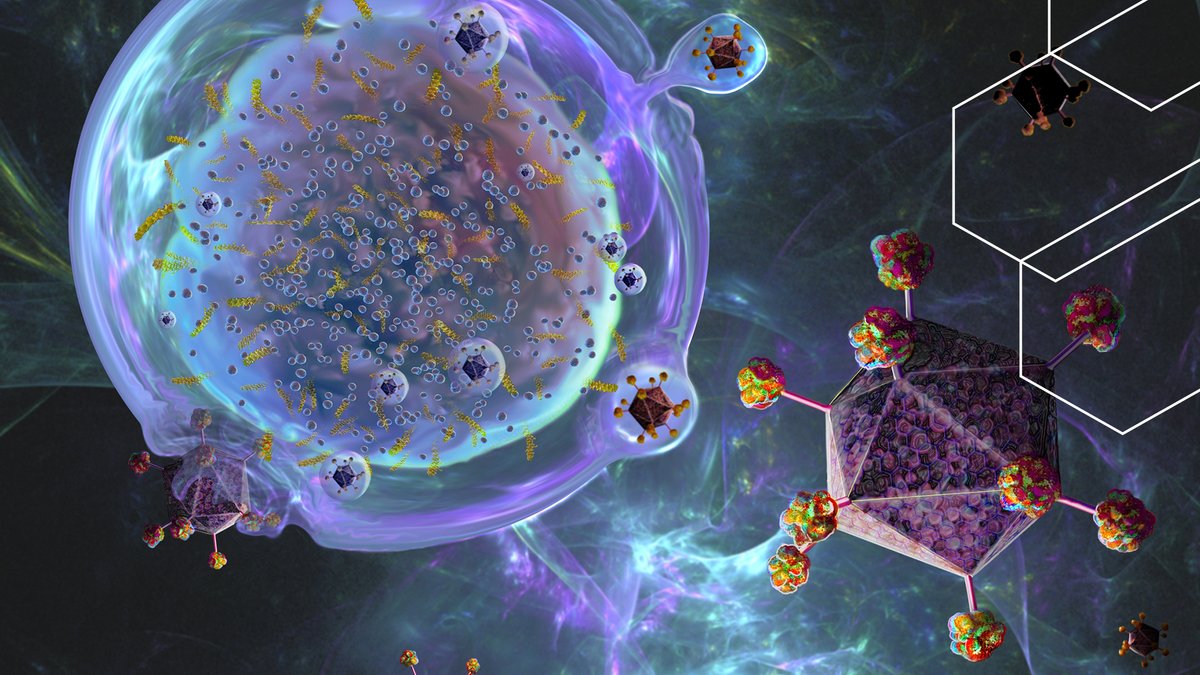CASChemistry's tweet image. What if we could suppress the cells causing an #autoimmune disorder? This breakthrough may be closer than you think due to new research into #MAIT cells, an unconventional type of T cell. Learn more: ow.ly/L5iN50WhIZM