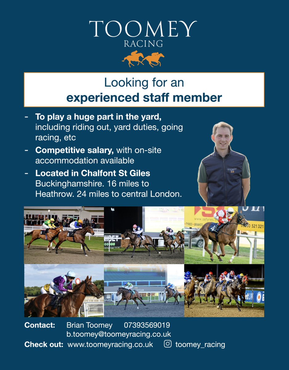 careersinracing.com (@careersinracing) on Twitter photo NEW JOB ALERT!😍
🗣 <a href="/BToomeyRacing/">Brian Toomey</a> is currently recruiting for a Racing Groom to join his team in Buckinghamshire
This role will include...
🔸 Riding out
🔸 Taking horses racing
🔸 General yard duties
To find out more and apply, click below👇
jobs.careersinracing.com/job/335296/rac… NEW JOB ALERT!😍
🗣 <a href="/BToomeyRacing/">Brian Toomey</a> is currently recruiting for a Racing Groom to join his team in Buckinghamshire
This role will include...
🔸 Riding out
🔸 Taking horses racing
🔸 General yard duties
To find out more and apply, click below👇
jobs.careersinracing.com/job/335296/rac…