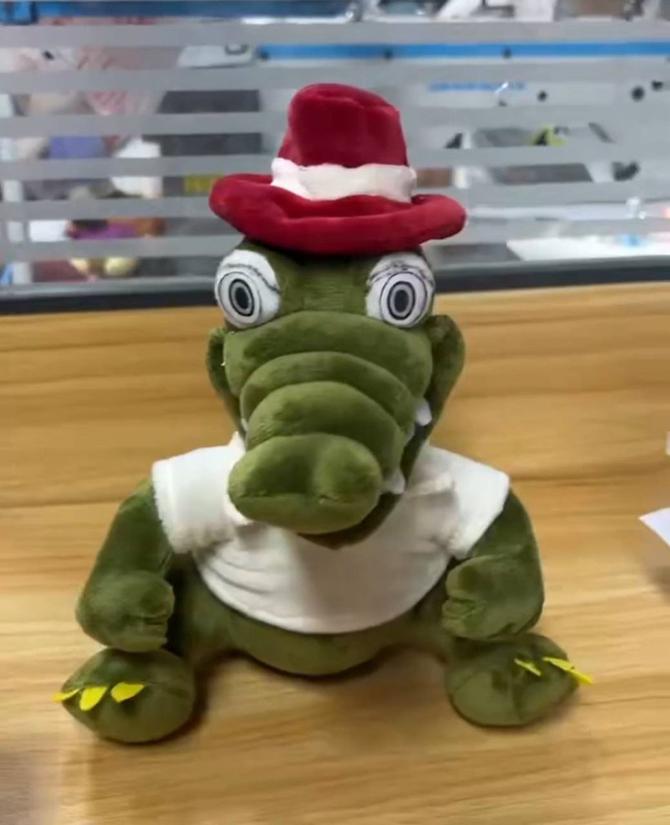 dangoXchg's tweet image. 2 rules for life

never kill yourself
never trust a custom plushie supplier on Alibaba