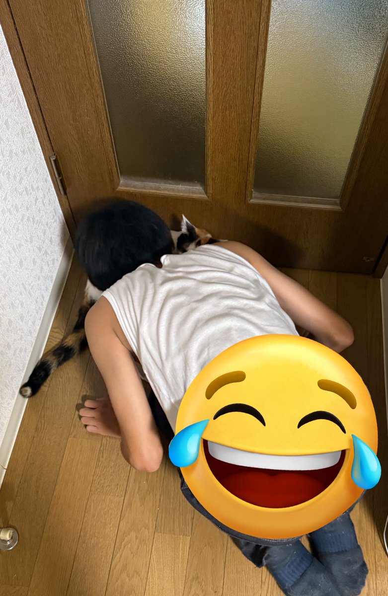 塾から帰宅して真っ先に愛猫を吸う人