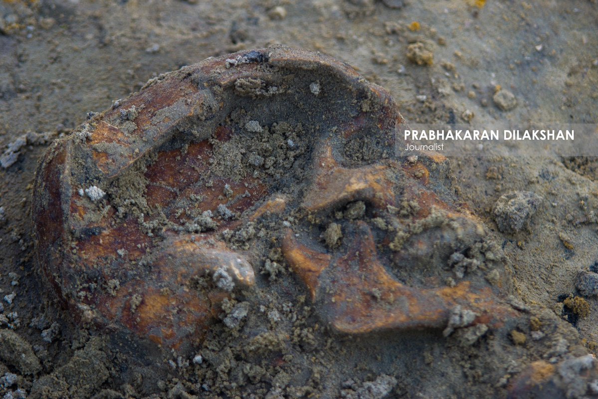 Prabhakaranlk's tweet image. யாழ்ப்பாணம் - செம்மணி மனிதப் புதைகுழியின் இன்றைய அகழ்வின் போது ஐந்து என்புத் தொகுதிகள் புதிதாக அடையாளம் காணப்பட்டுள்ளன.
இதன்படி செம்மணி மனிதப் புதைகுழியில் அடையாளம் காணப்பட்ட மனித என்புத் தொகுதிகளின் மொத்த எண்ணிக்கை 85ஆக அதிகரித்துள்ளது.
#செம்மணி #செம்மணிபுதைகுழி #chemmani