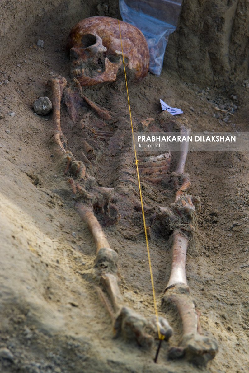 Prabhakaranlk's tweet image. During today’s excavation at the Chemmani human grave site in jaffna , five additional sets of human remains have been newly identified.
With this, the total number of human skeletal remains identified at the Chemmani grave site has increased to 85 #chemmani #chemmanimassgrave