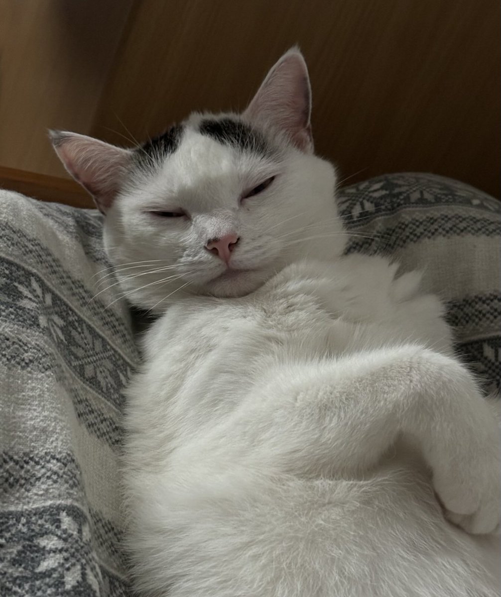 Akiirie's tweet image. Tak się ostatnio czuję wstając 😭
„Mamo, daj jeszcze z 5 minut”