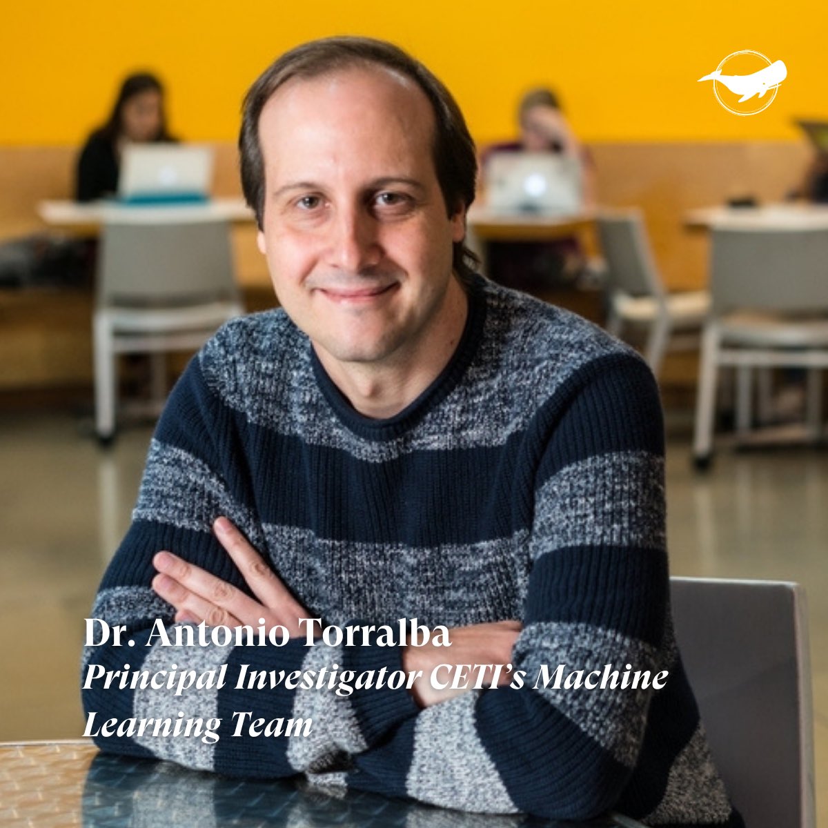 ProjectCETI's tweet image. Meet Antonio Torralba! Computer vision specialist and Delta Electronics Professor of Electrical Engineering & CS at @MIT @MIT_CSAIL & head of the AI + Decision Making faculty at @MITEECS. Learn about his work: bit.ly/4nqMYdZ & read his book: bit.ly/4eo3cjO!