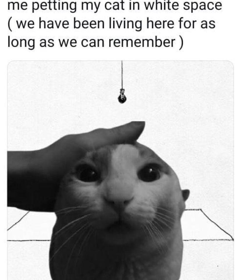 Basil No. 1 Hater (@zeroakun1) on Twitter photo 