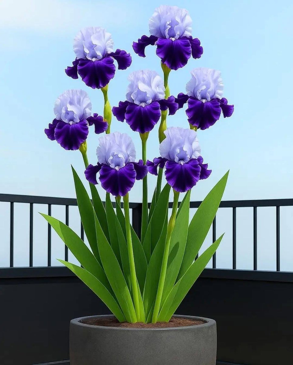 ْ
ثُم يَأتيـﮏ الله
بأشَد مَا يَتمنّاﮪ قَلبـﮏ
عوضَاً عَن أيّام ثقال
وجبرت عن قسوة العالم 
_╭💜╯💜
╭💜╯💜
╭💜╯💜
╭💜╯💜
╭💜╯💜
╭💜╯💜
_╭💜╯💜
__╭💜╯💜
____╭💜╯💜
______╭💜╯💜
_________╭💜╯💜
#اخت_السيافا💜
#اوفيا_لسعادتكGp 
وجَبراً عَن قَسوة العَالـﻢ.🤍🌸