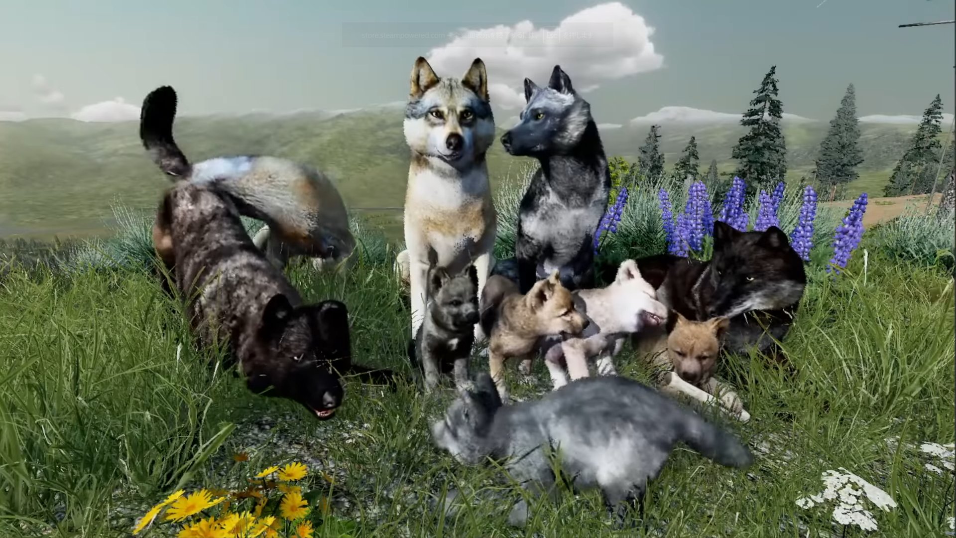 ぴょんです✨ ̩͙꒰ঌ ぴょん ໒꒱·̩͙ (@pyon_1211) • Instagram photos and videos