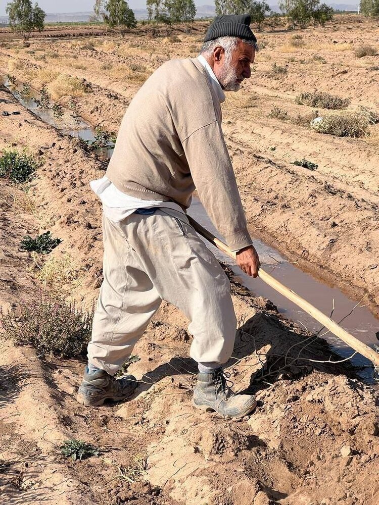Reza_Hmz's tweet image. حجتی خودش وزیر کشاورزی بود و باید برای حل مشکل کمآبی کشور و استفاده از روشهای جدید آبیاری کار میکرد، ولی زمین خودش رو با روشهای قدیمی، منسوخ شده و پرمصرف، آبیاری میکنه...