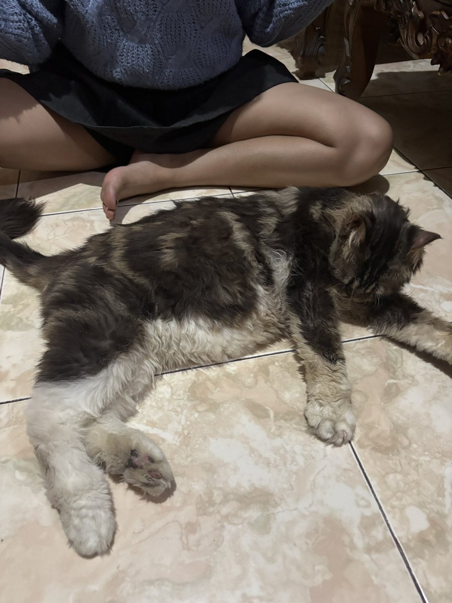 viorella 🇵🇸 tweet media