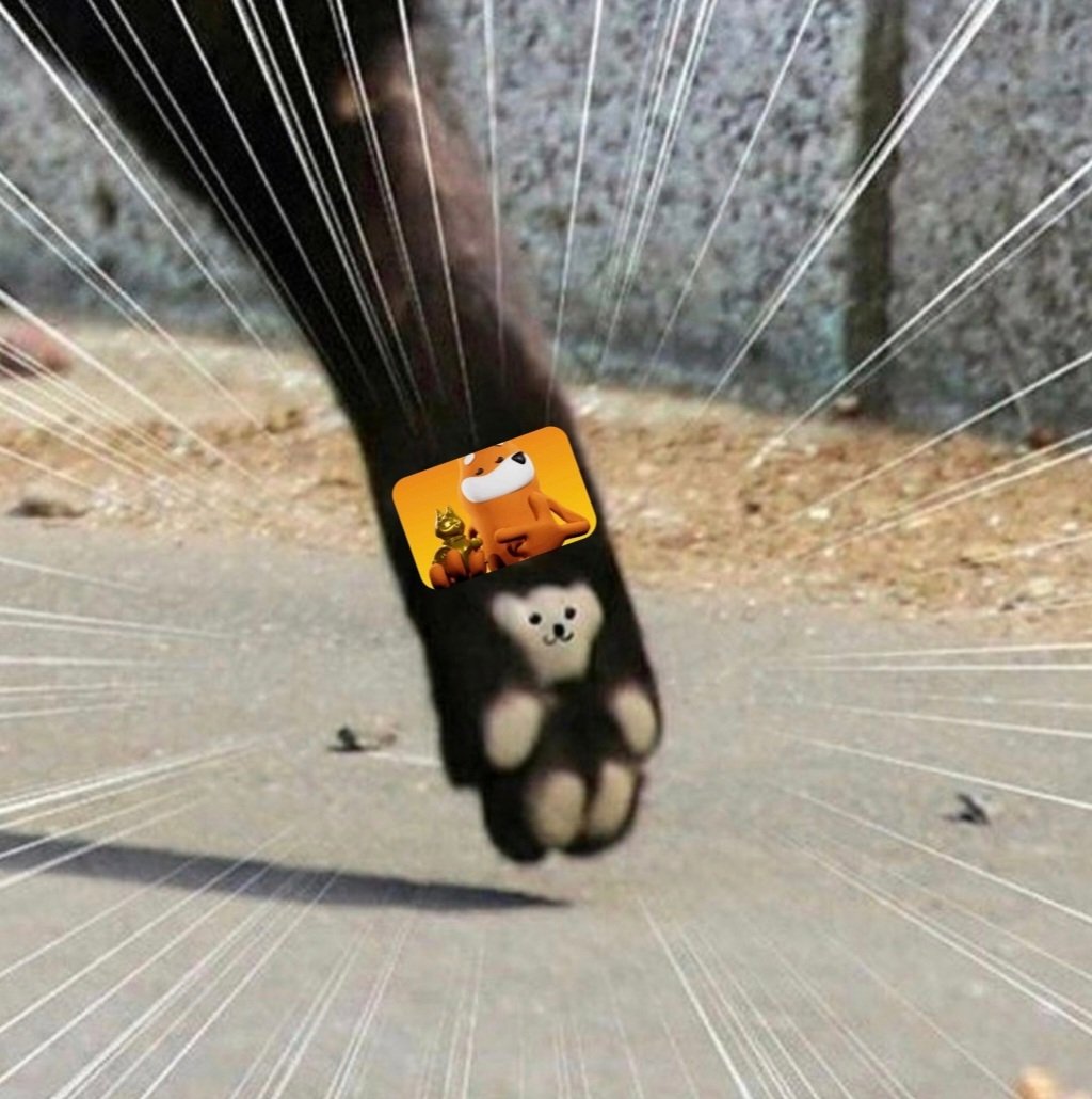 I'm feeling Bonkish ❗️
I'm feeling lucky 🤞
Let's Bonk ❗️ 
#luckypaw $bonk #bonk 

EnDdse2FcGWz83vkBPyPCG8CyooTJrrwsW294BzBbonk