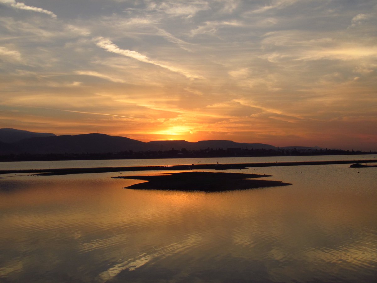 lalaranda1's tweet image. Estar hoy aquí es un regalo tan frágil como precioso; abrirlo con gratitud es honrar la vida.
#FelizMiércolesATodos