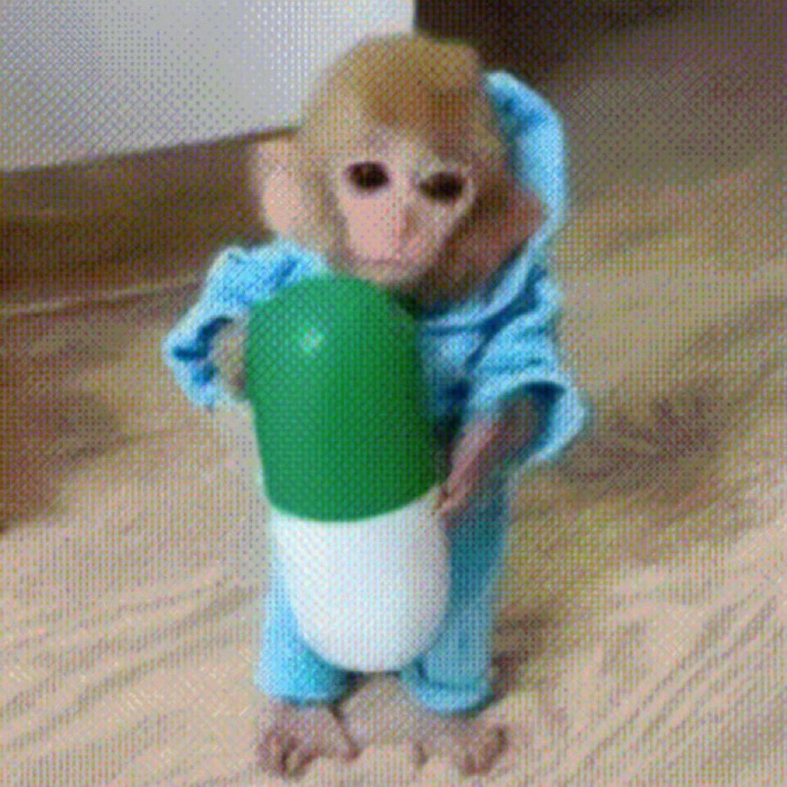 mrniggson's tweet image. monkbillions incoming
