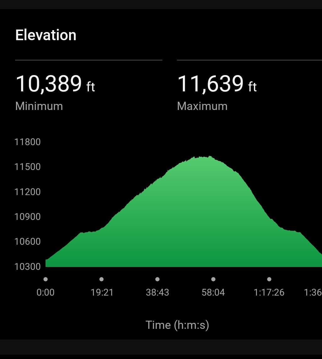 RunningTrailsx's tweet image. Late post.  Went hiking yesterday with my adult kids ❤️🌄