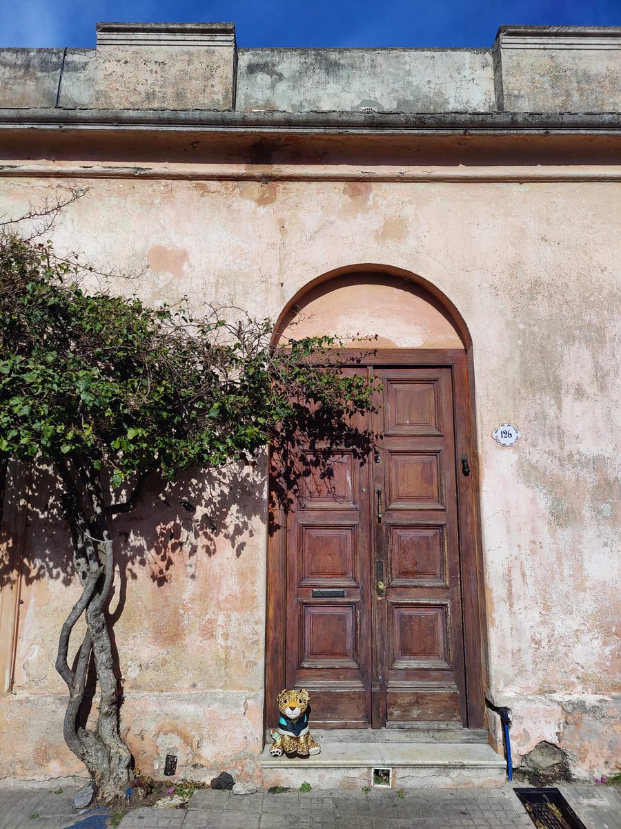 EmbaMexUru's tweet image. 🐾 #Temayin llegó a Colonia del Sacramento, joya histórica de Uruguay y Patrimonio Mundial de la @UNESCO

Acompáñalo en este recorrido entre calles de piedra y descubre cómo la tradición de esta emblemática ciudad dialoga con la riqueza cultural del sureste mexicano. 🌿✨🌎