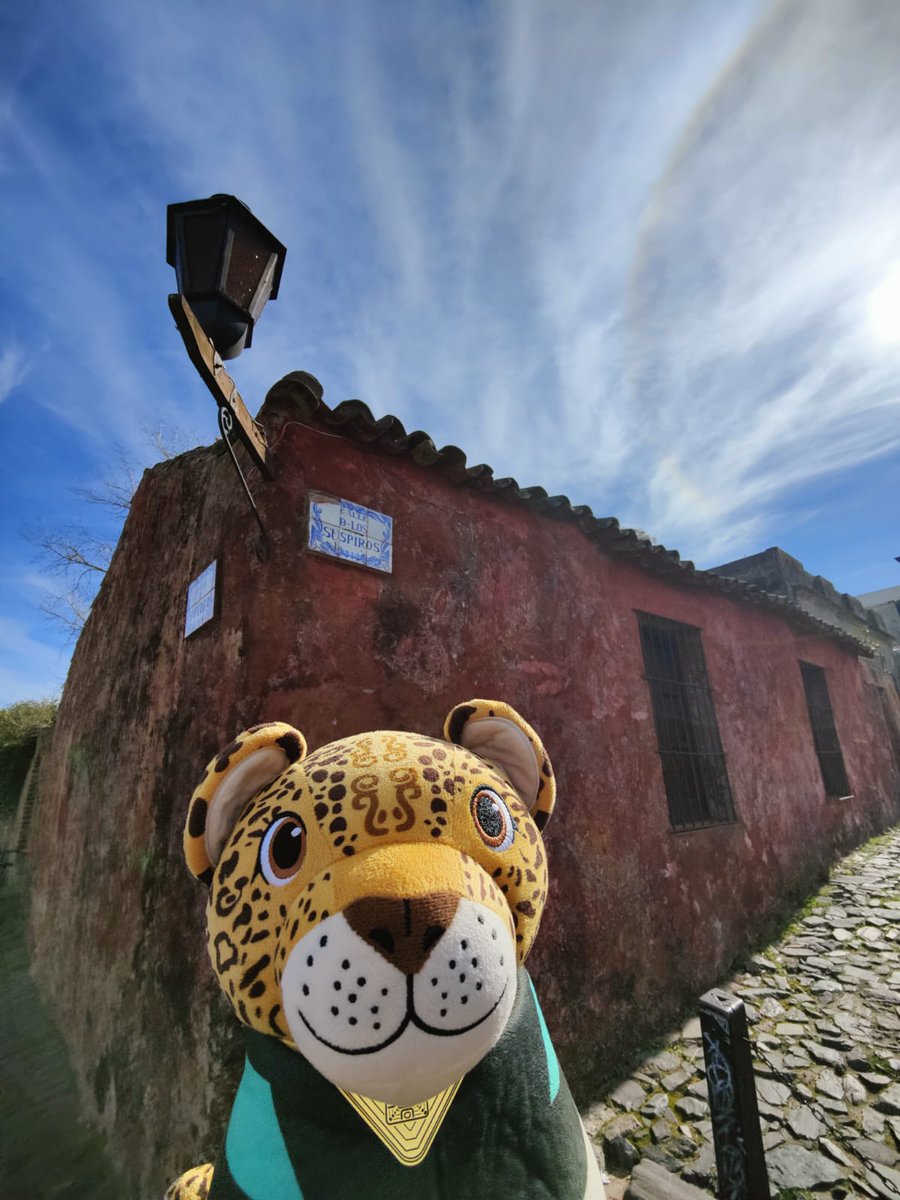 EmbaMexUru's tweet image. 🐾 #Temayin llegó a Colonia del Sacramento, joya histórica de Uruguay y Patrimonio Mundial de la @UNESCO

Acompáñalo en este recorrido entre calles de piedra y descubre cómo la tradición de esta emblemática ciudad dialoga con la riqueza cultural del sureste mexicano. 🌿✨🌎