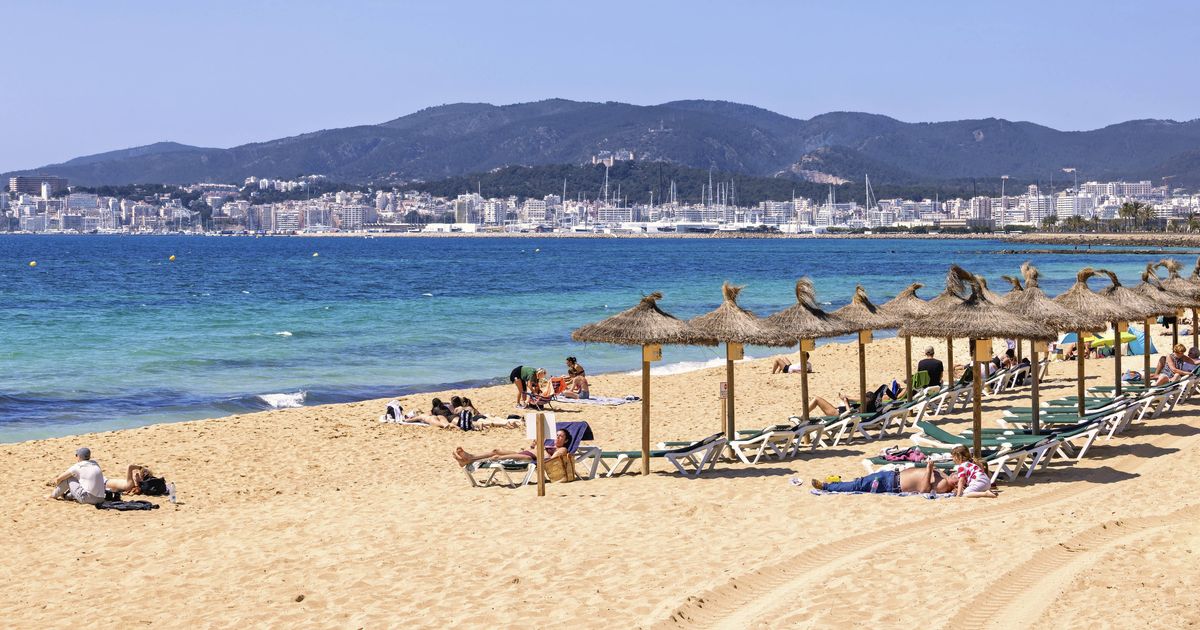 DailyMirror's tweet image. Beach evacuated in popular holiday hotspot after mystery fish 'attacks tourist'
mirror.co.uk/travel/news/be…
